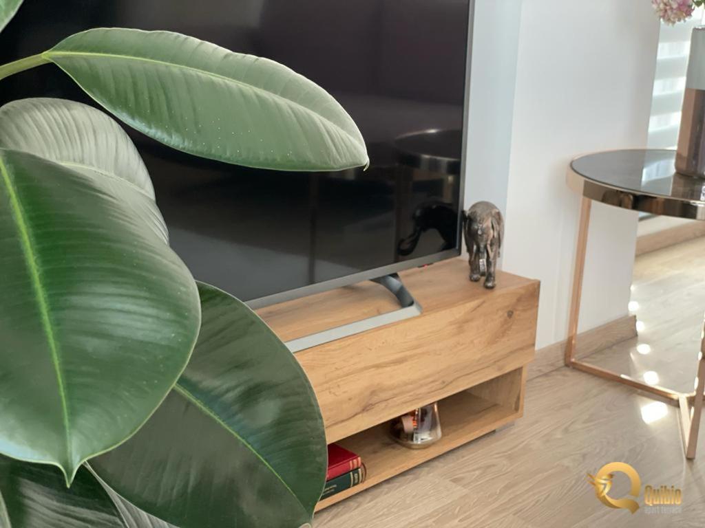 Quibio Apart Terrace Braszów Zewnętrze zdjęcie